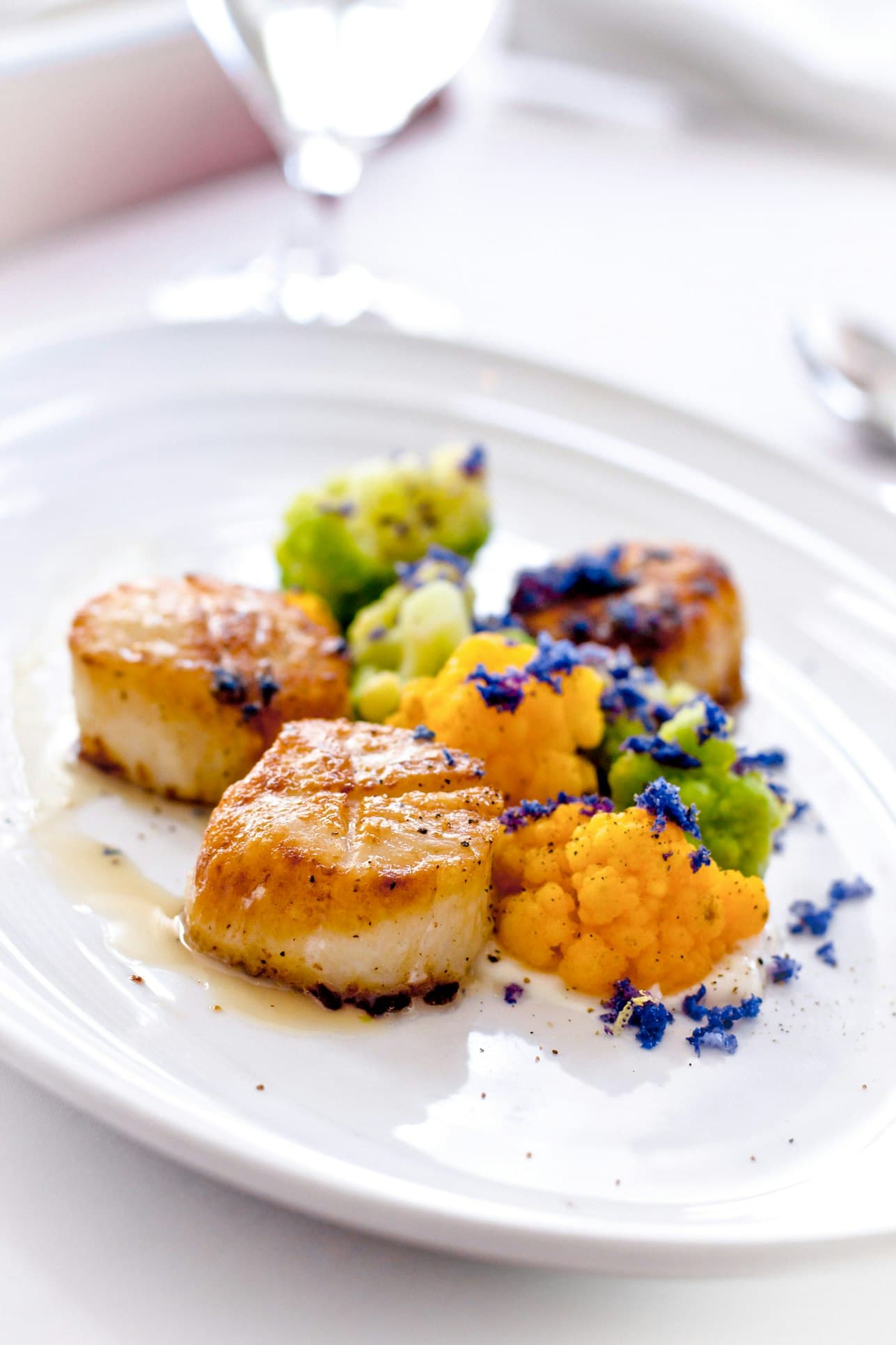 Pan-Seared Scallops