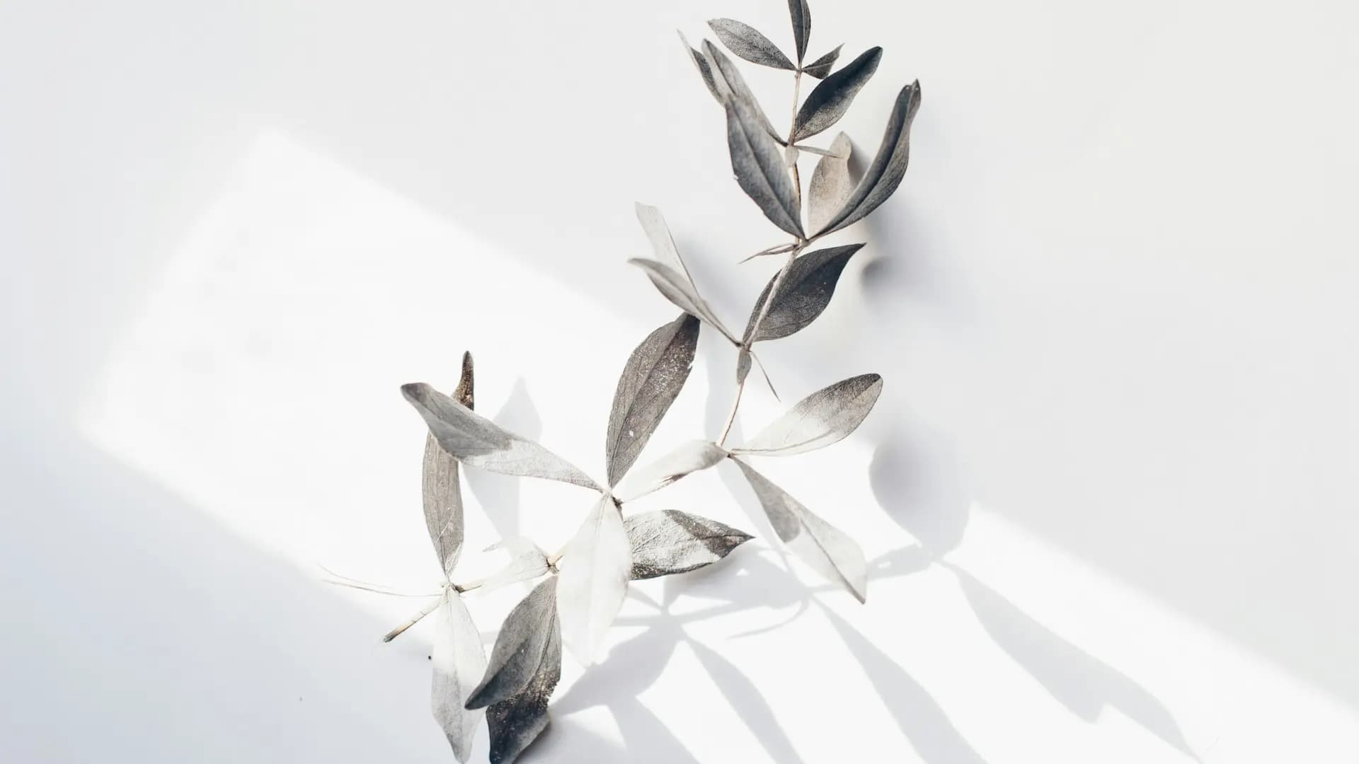 Minimalist technology